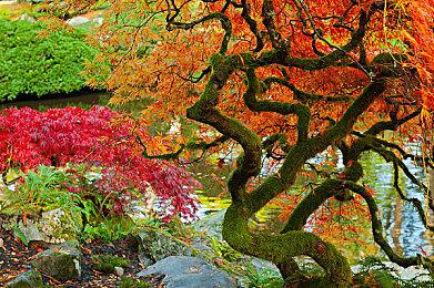 Steam卡普空特卖会开启 折扣高达1.3折