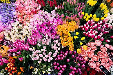 制作人解释《巫师4》希里比杰洛特更快更敏捷