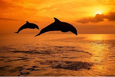 免费射击游戏《星球大战：猎人》第三次跳票 2024年发售